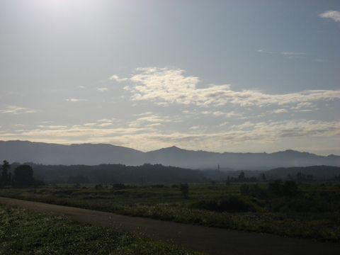 e0167780_13242764.jpg