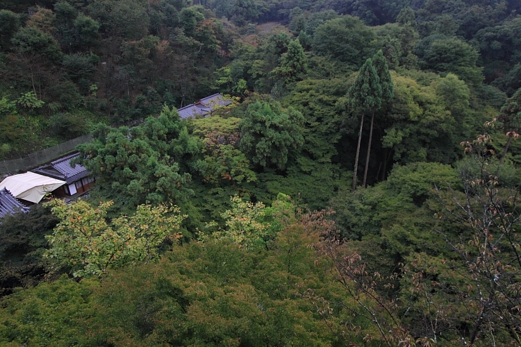e0051888_212492.jpg