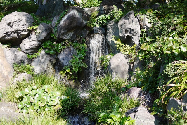 a0127090_15134496.jpg