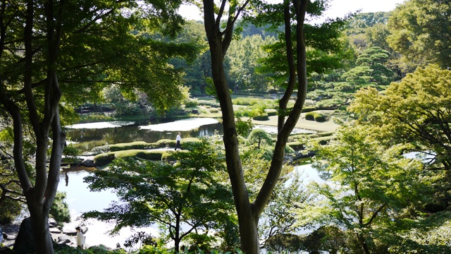 a0127090_1585676.jpg