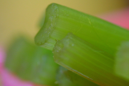 d0133693_20552227.jpg