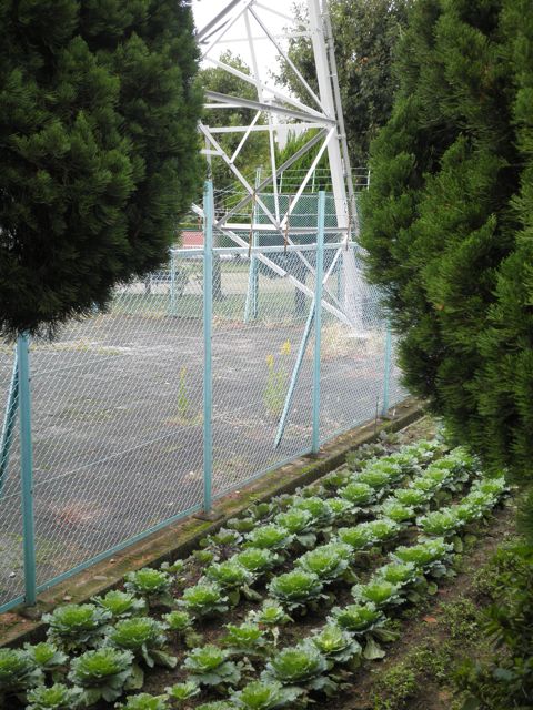 f0130894_227058.jpg