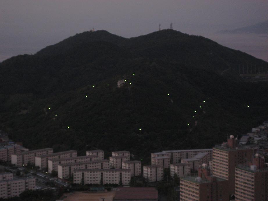 f0013998_104637.jpg