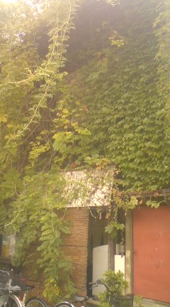 c0202101_095218.jpg