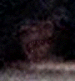 e0103408_14373542.gif