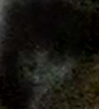 e0103408_14493747.gif