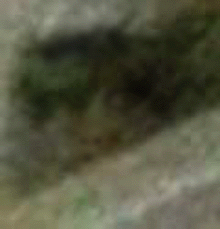 e0103408_14495682.gif