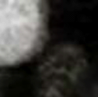 e0103408_14501251.gif