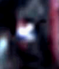 e0103408_19251381.gif