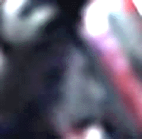 e0103408_19253264.gif
