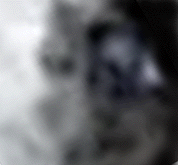 e0103408_19254622.gif