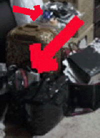 e0103408_1926458.gif