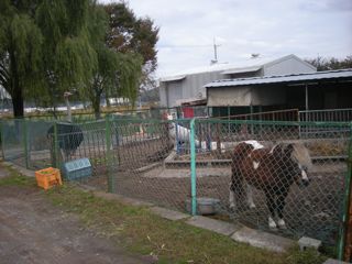 b0183911_0331494.jpg