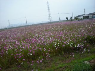 b0183911_23262781.jpg
