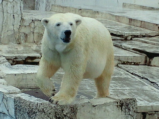 a0151913_1340528.jpg