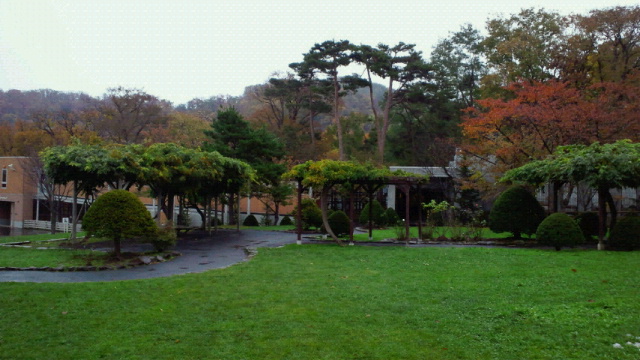 a0151913_1340538.jpg