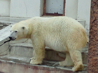 a0151913_1340568.jpg