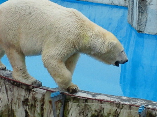 a0151913_1340580.jpg