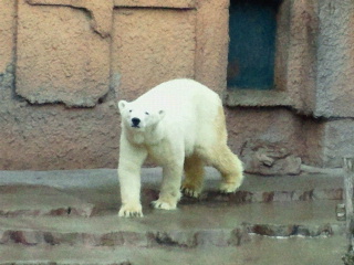 a0151913_1340595.jpg