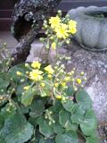 c0202613_041845.jpg