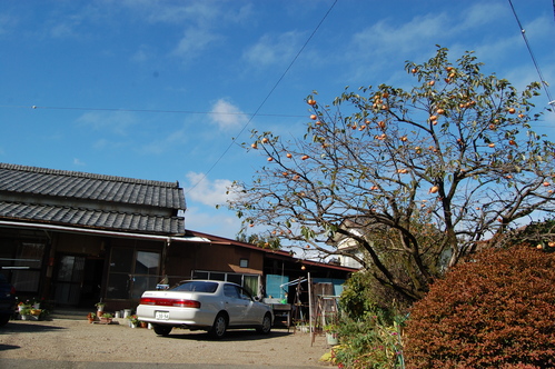 e0214513_20152772.jpg
