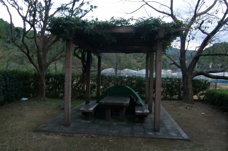 f0213613_20105332.jpg