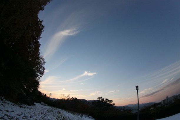 a0109914_2355248.jpg