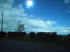 a0111618_16524526.jpg