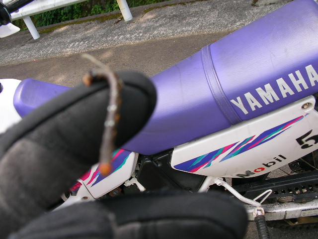 c0223419_1943315.jpg