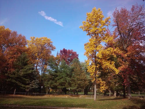 c0202520_11273925.jpg