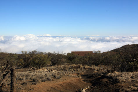 f0137324_21225138.jpg