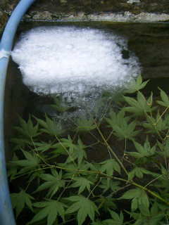 c0074025_2281066.jpg