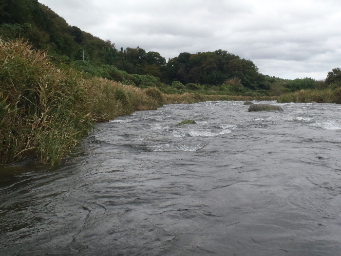 f0103126_20462551.jpg