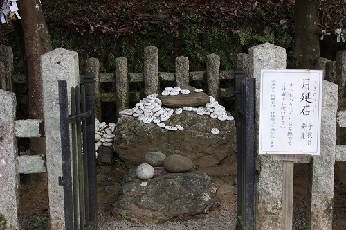 f0054428_038089.jpg