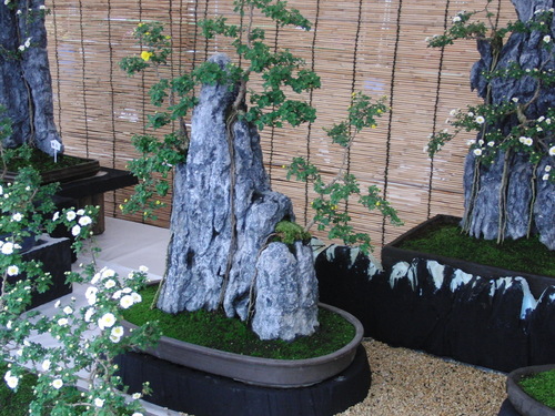 f0111128_1275429.jpg