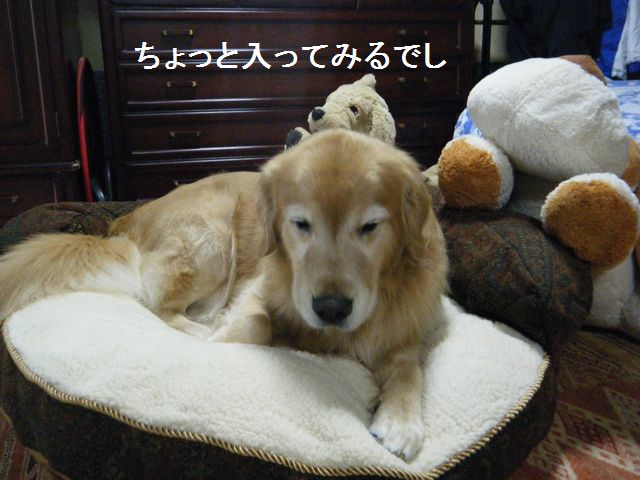 b0127531_8555719.jpg