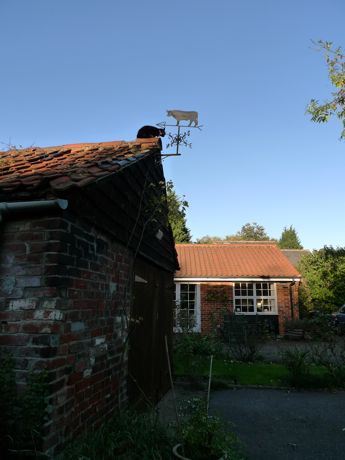 f0165831_18332752.jpg