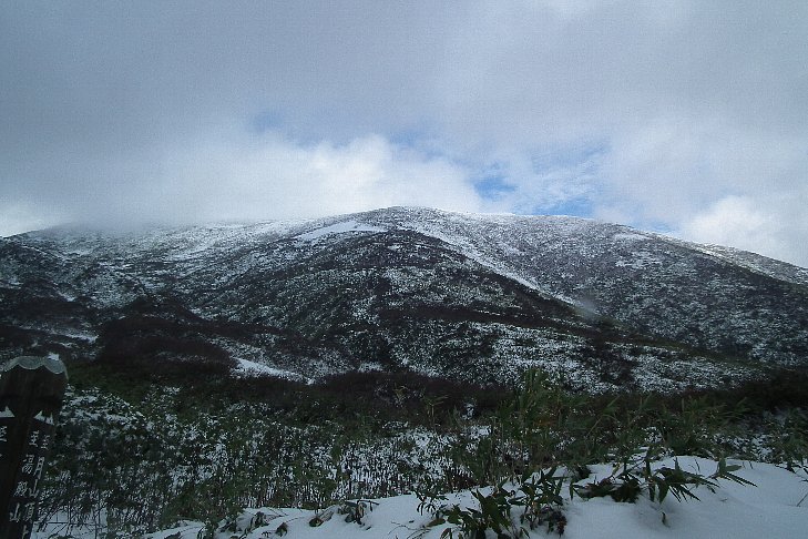 f0118332_1558680.jpg