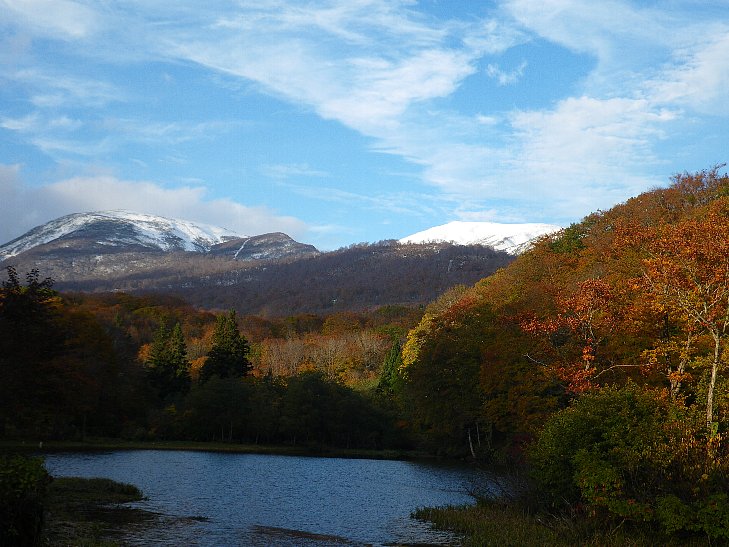 f0118332_1651885.jpg
