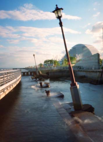 c0184737_2143555.jpg