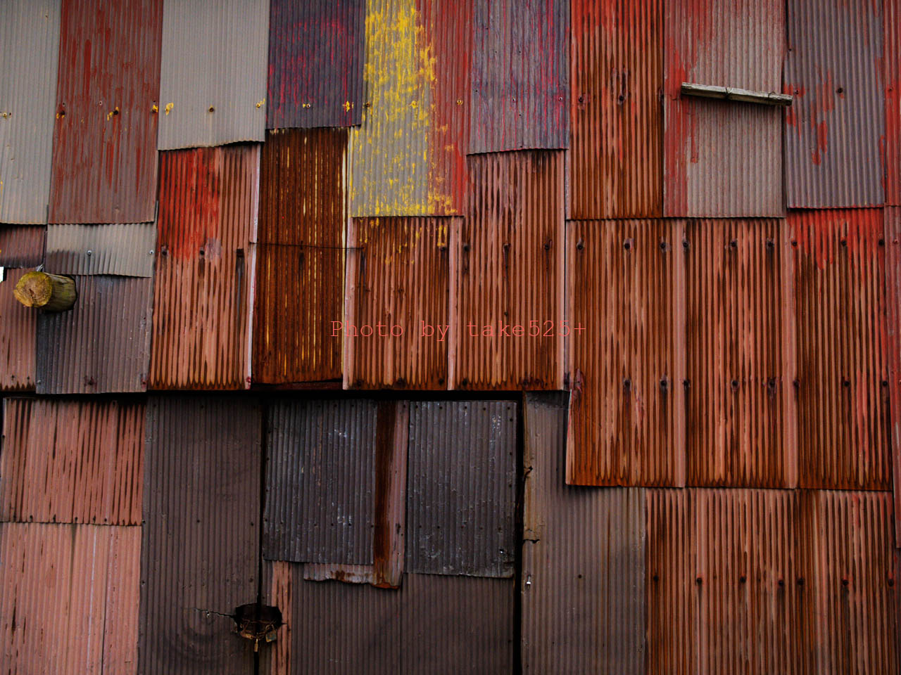 a0116946_0183314.jpg