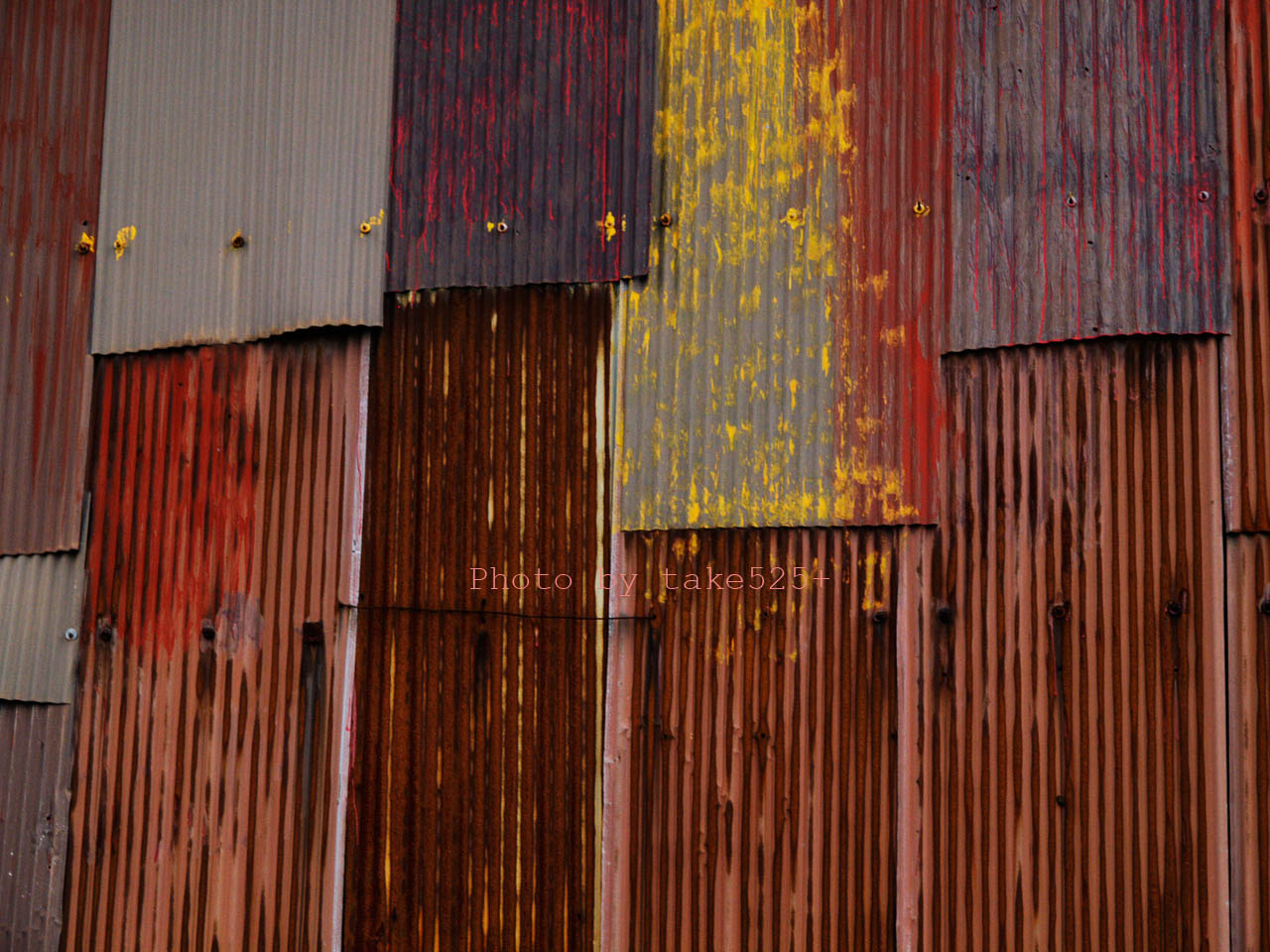 a0116946_0192544.jpg