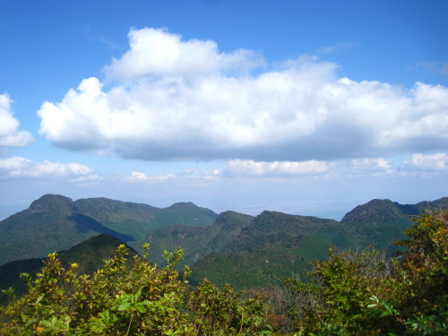 c0179351_194937100.jpg