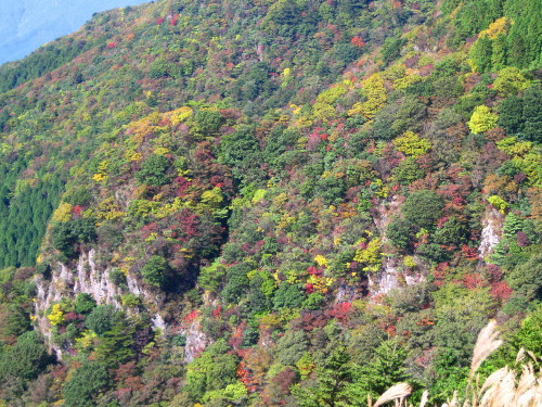 c0179351_19592074.jpg