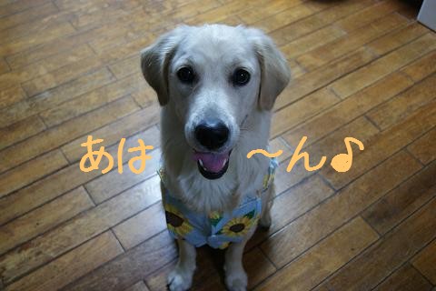 c0214455_1424111.jpg