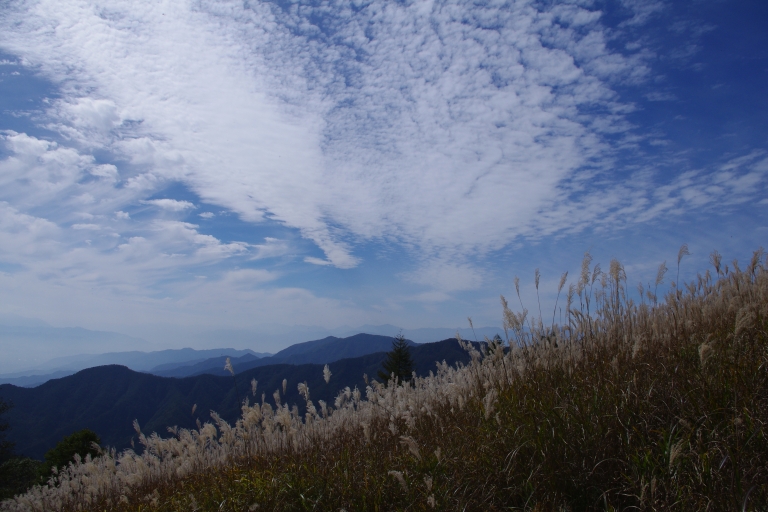 c0056957_2334061.jpg