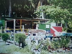 c0185058_10333479.jpg