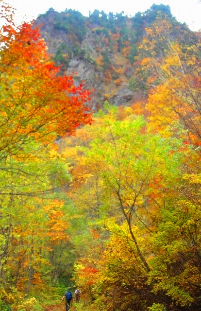 c0119160_6332995.jpg