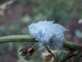 f0055264_23261269.jpg