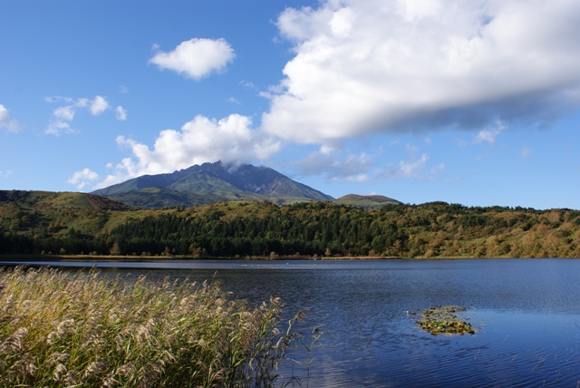a0091666_23135026.jpg